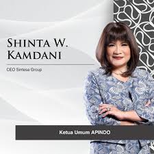 Ketua Umum Apindo Shinta Kamdani. Dok. Pribadi. Ekonomi RI Lampu Kuning, Apindo Ingatkan Perlu Strategi Baru