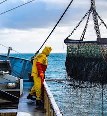 RUPST Cilacap Samudera Fishing Industry (ASHA) Angkat Komisaris Baru