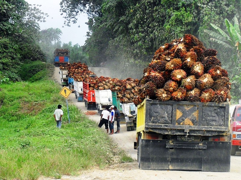 Sejumlah Komoditas Alami Kenaikan Harga pada Juni 2025