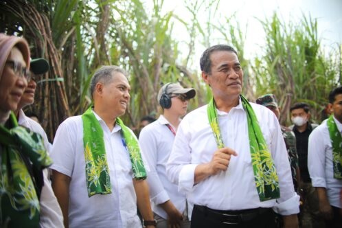 Pabrik Gula akan Dilibatkan Sebagai Penjamin Kredit Petani Tebu