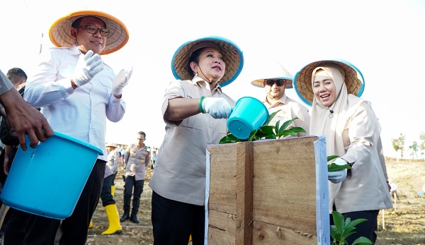 NFA Dukung Pemanfatan Perhutanan Sosial untuk Tanam Jagung
