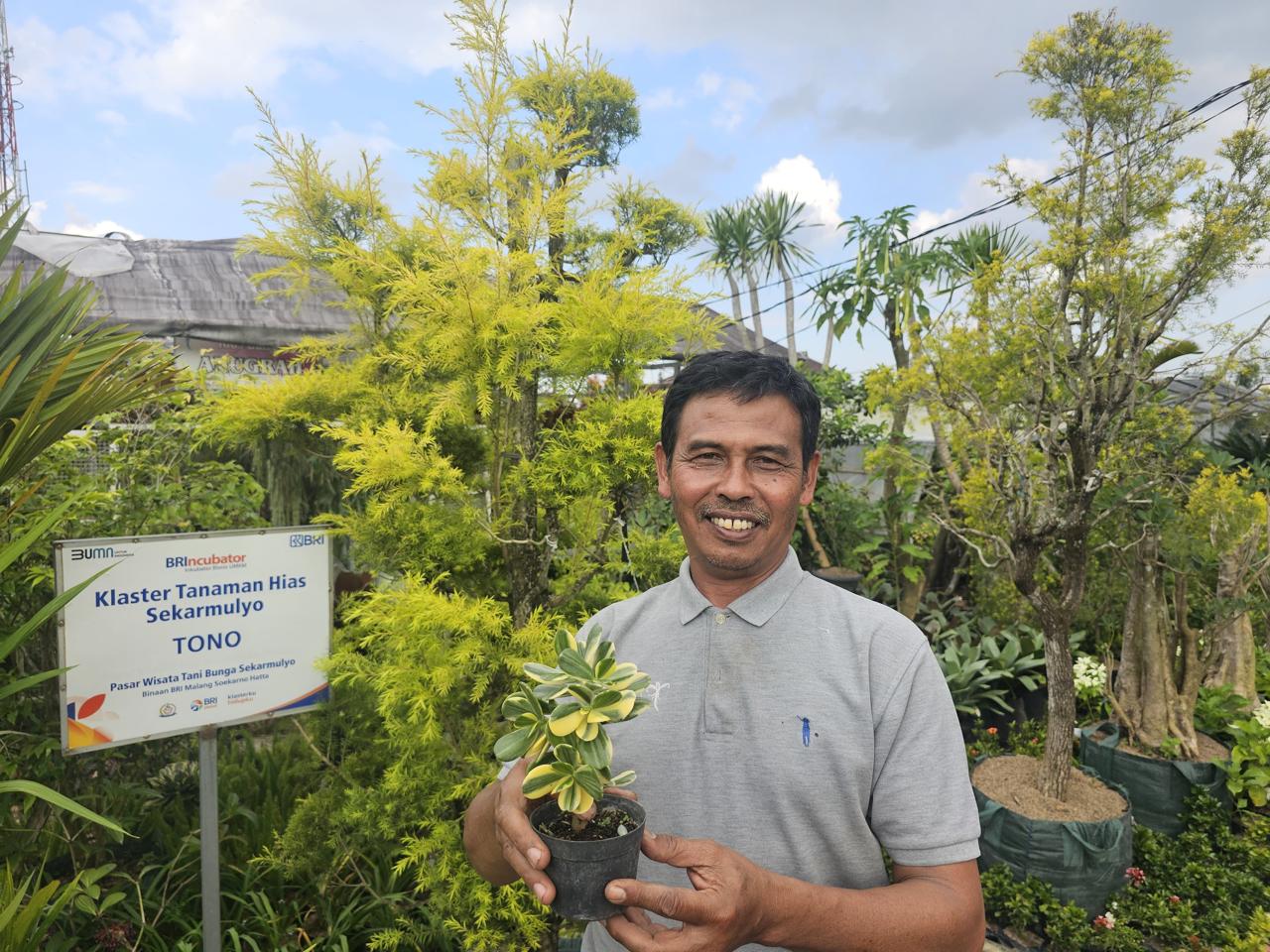 Menyusuri wilayah Kota Batu tidak hanya disuguhkan dengan pemandangan alam, kabut dan udaranya yang sejuk, tetapi juga perbukitan dan perkebunan milik warga. Binaan BRI Ini Ubah Hidup Warga Lewat Tanaman Hias