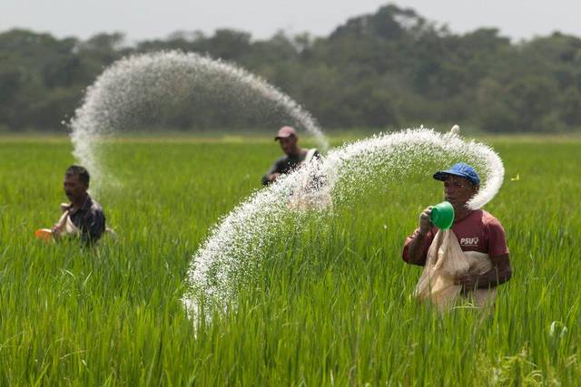 Kopdes Merah Putih Penyalur Pupuk, 27 Ribu Distributor Tereliminasi