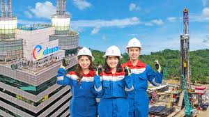 Elnusa Lunasi Sukuk Ijarah Berkelanjutan I Tahap I Tahun 2020 Rp715,7M