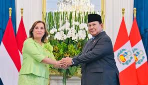 Presiden Republik Peru, Dina Boluarte Zegarra dan Presiden Prabowo Subianto. Dok. Presiden RI. Kemendag Catat 7.257 Barang Indonesia Dapat Tarif Nol Persen ke Peru