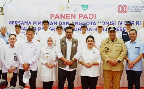 1 Hektare Hasilkan 9 Ton, Maros Didorong Jadi Motor Produksi Sulsel