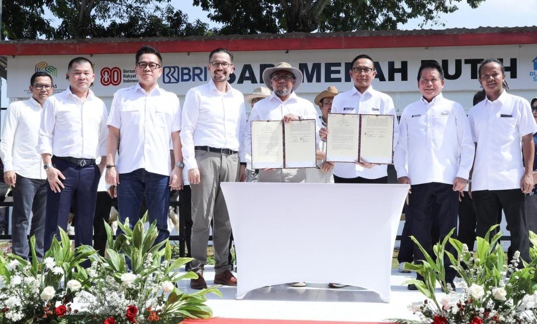 BRI Dukung Program Sapi Merah Putih, Dorong Swasembada Pangan