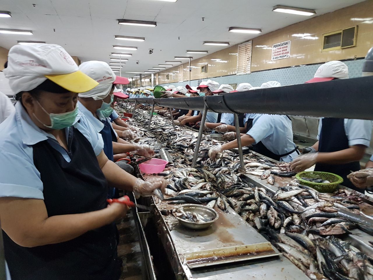 Sektor Mamin dan Pakaian Jadi Dominasi Industri di Bali dan Jateng