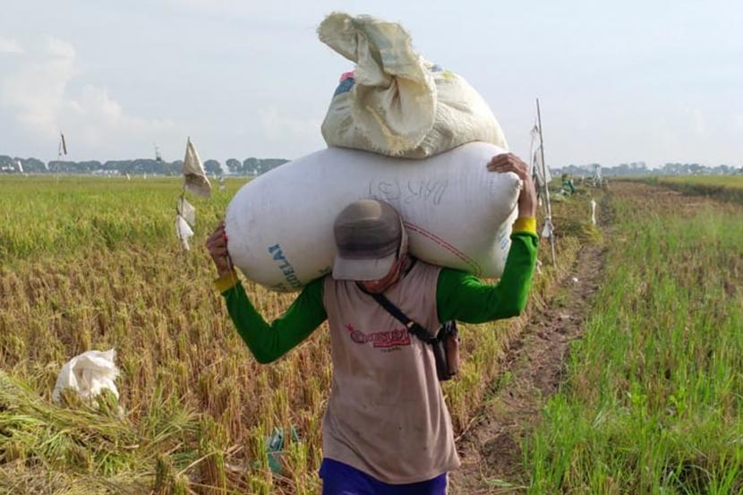 Nilai Tukar Petani dan Usaha Rumah Tangga Naik Tipis di Agustus 2025