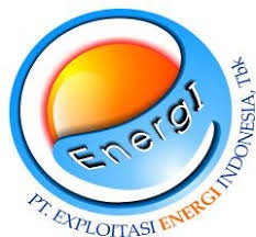 LOgo usaha CNKO. Emiten Batu Bara Milik Anderson Bay (CNKO) Beberkan Manuver Baru