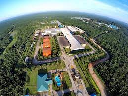 ilustrasi pabrik PT Citra Borneo Utama Tbk (CBUT) Kinerja Cemerlang: Laba CBUT Melesat Lebih dari 89% di Semester I-2025