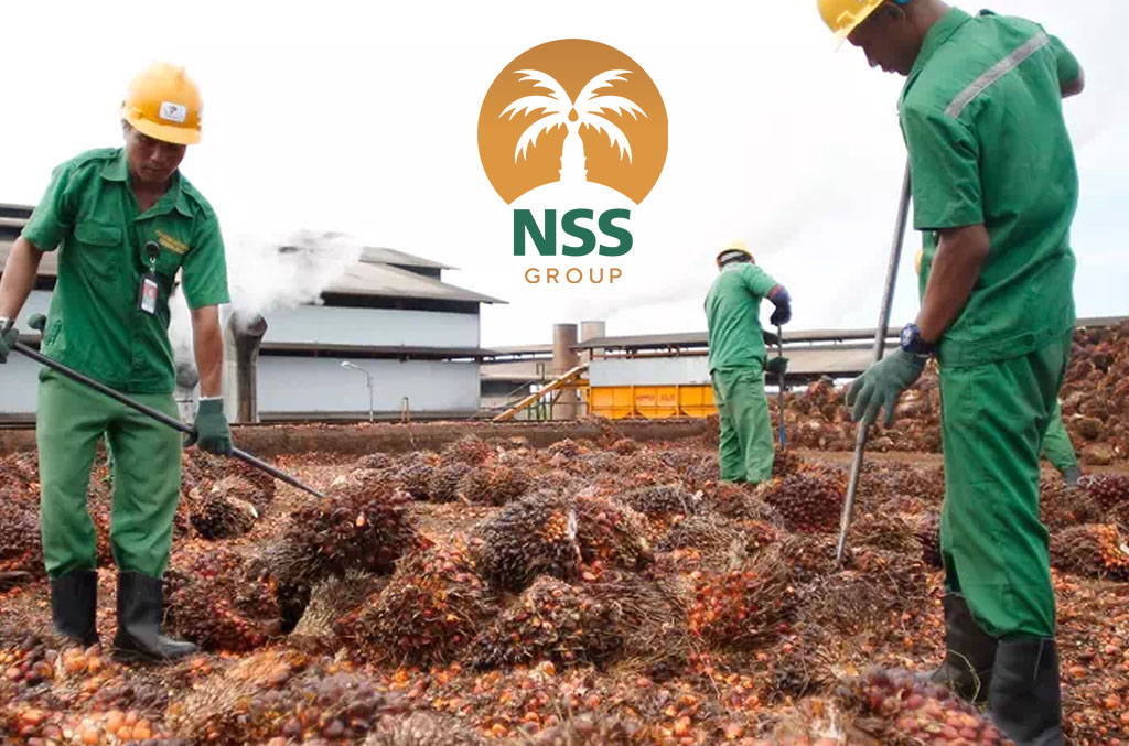 Tampak sejumlah pekerja mengorek-orek timbunan tandan buah segar perseroan. FOTO - ISTIMEWA Lagi! Pengendali NSSS Lego Saham Rp59,99 Miliar