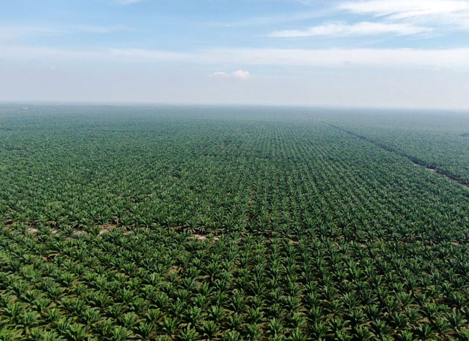 CSRA Tabur Dividen Interim Rp25,01 M, Ikuti Jadwalnya