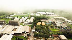 Potret selayang pandang lingkungan perindustrian PT Pinago Utama Tbk. (PNGO). PNGO Bagikan Dividen Interim Rp130 Per Saham, Yield 5,35%
