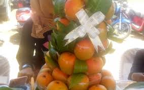 Ilustrasi buah mangga gedong gincu Indramayu, Jawa Barat. Dok. Holtikultura Indonesia. Mangga Gedong Gincu Indramayu, Kini Terdaftar dalam Indikasi Geografis