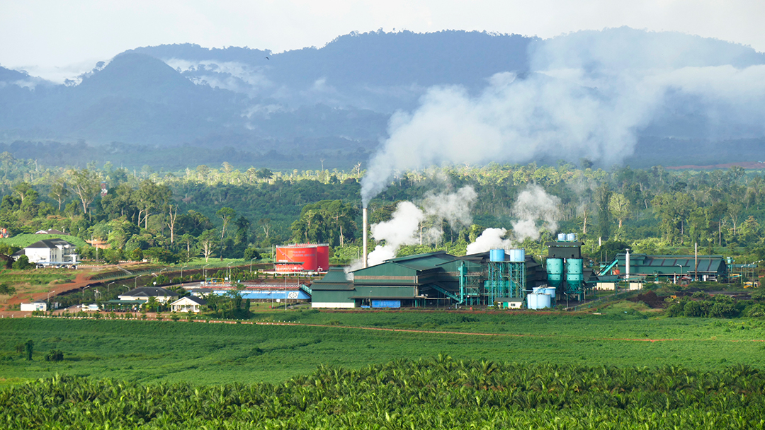 Pabrik Austindo Jaya berdiri di area perkebunan sawit perseroan. FOTO - ISTIMEWA Transaksi Beres, First Resources Resmi Kendalikan Austindo (ANJT)
