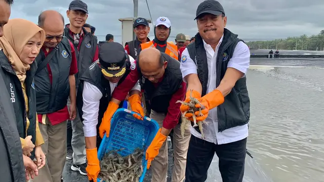 Ekspor Udang Aman dari Kontaminasi Radiasi, Ini Jaminan Kementerian KP