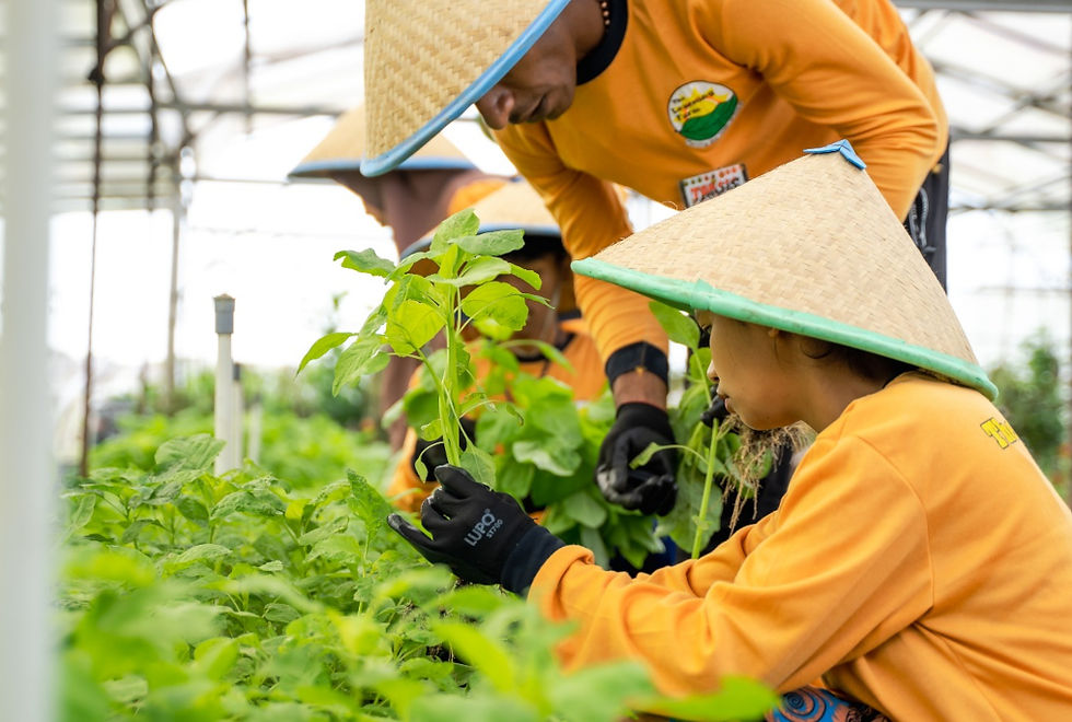 Potret petani binaan emiten pupuk DGW atau PT Delta Giri Wacana Tbk. (DGWG) Delta Giri (DGWG) Catat Laba Tumbuh 10,87% di Kuartal III-2025