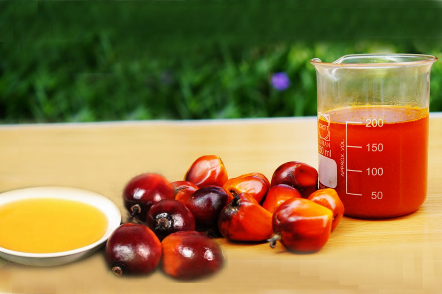 Harga Referensi (HR) komoditas minyak kelapa sawit (Crude Palm Oil/CPO) untuk periode November 2025 adalah sebesar USD963,75/MT. Harga Referensi CPO Periode November 2025 Naik Tipis Jadi USD963,75/MT