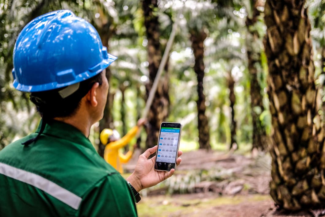 pekerja menggunakan Plantation Information Management System (PIMS), yaitu sistem manajemen kebun berbasis data digital yang dikembangkan secara internal oleh Astra Agro. DOK/ISTIMEWA Digitalisasi Bikin Produktivitas Astra Agro (AALI) Semakin Meningkat