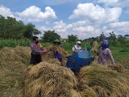 Percaya Diri, Pemerintah Pastikan tidak ada Impor Beras-Gula Konsumsi