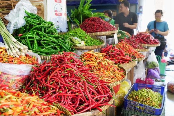 Carry Over Stok Kuat, Pemerintah Pastikan Tak Ada Impor Pangan di 2026