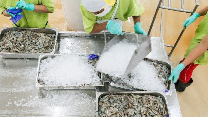 PGN Pasok Gas Hingga 80.000 m3 ke Bumi Menara Internusa Lamongan