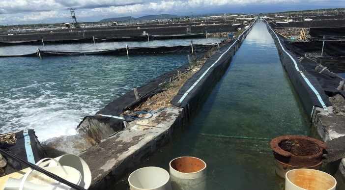 Radiant Pengendali Baru, Ini Arah Bisnis AMMS 