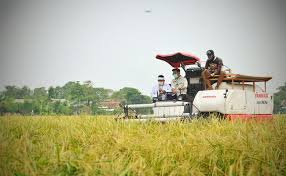 Swasembada Tercapai, Stok Aman Mentan Mau Ekspor Beras Tahun Ini