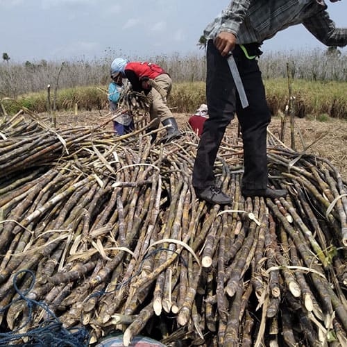 Aksi Divestasi Pengendali GULA Berlanjut, Kini Lepas 20 Juta Saham