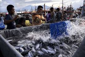 KKP Nilai Penerapan Sanksi Efektif Tekan Pelanggaran Impor Perikanan