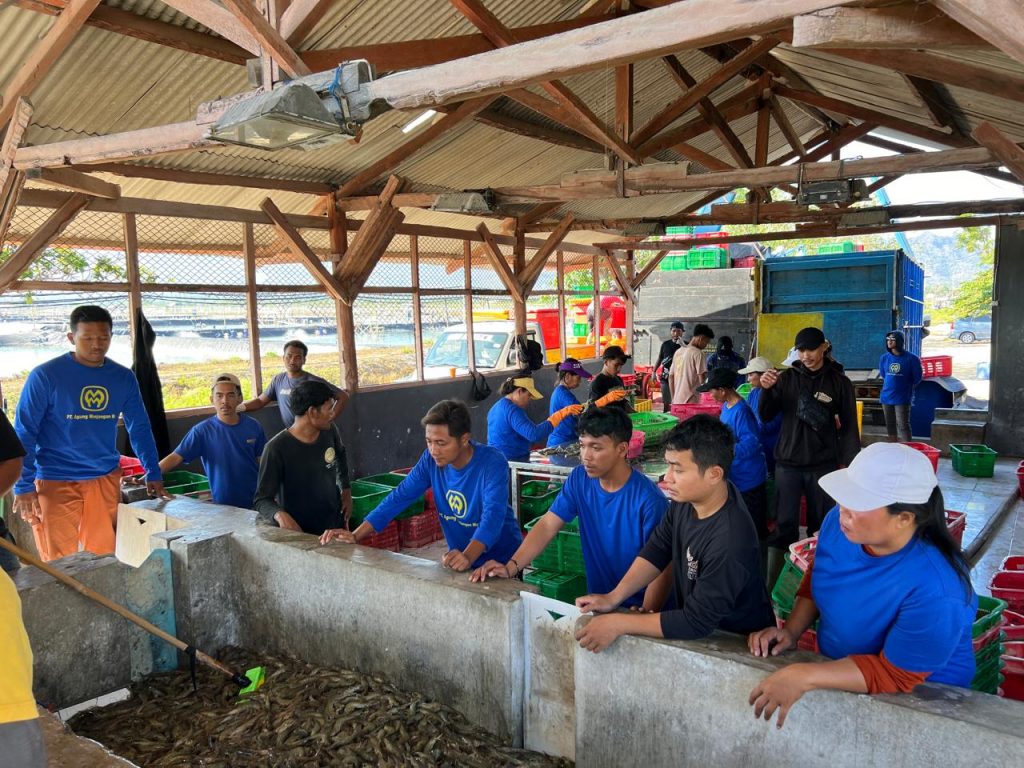 Akuisisi Tuntas, AMMS Resmi Dikendalikan Radiant Ruby