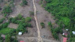 Pulihkan Sawah Rusak Bencana Sumatera, Mentan Usul Tambah Dana Rp5,1T