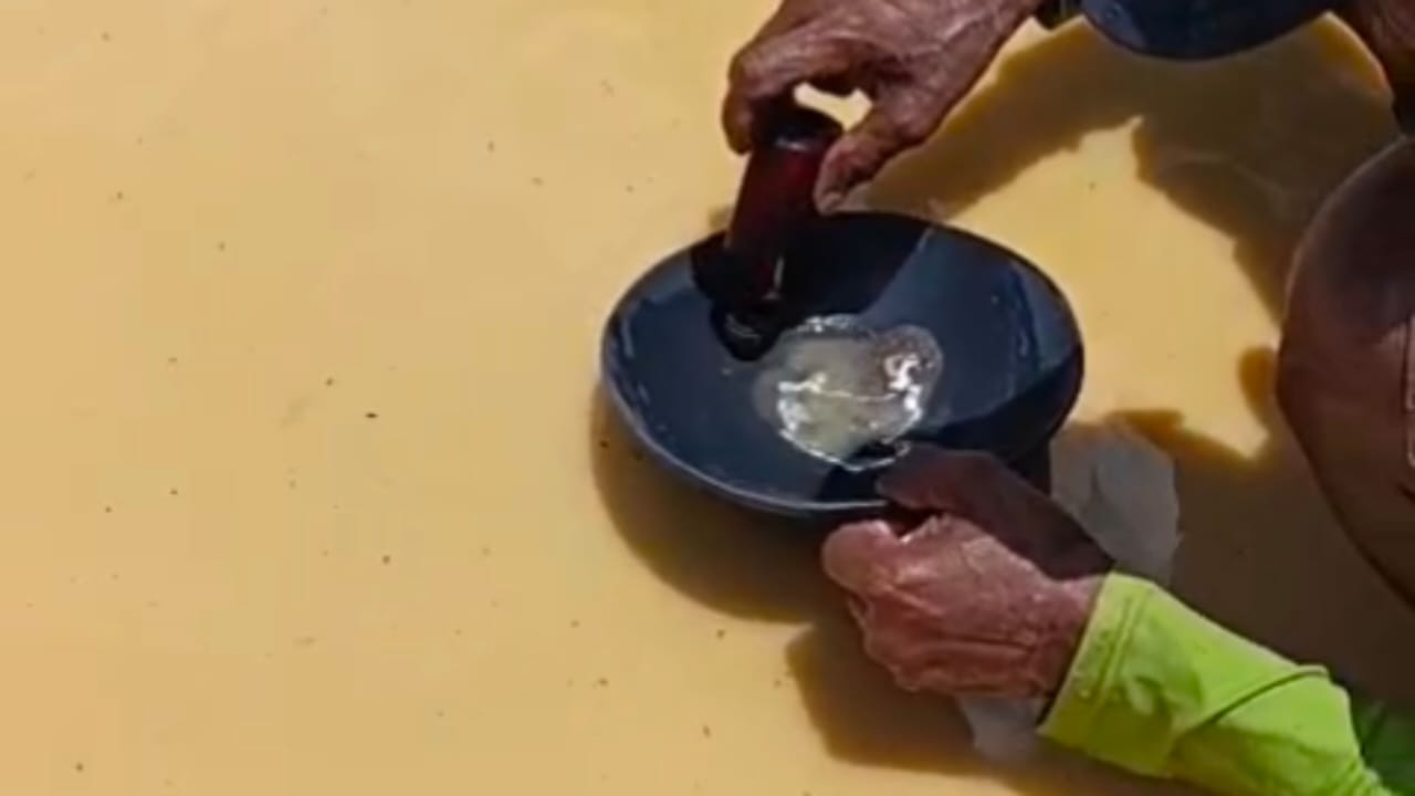 Merkuri dari Aktivitas PETI Cemari Air dan Biota di Pohuwato