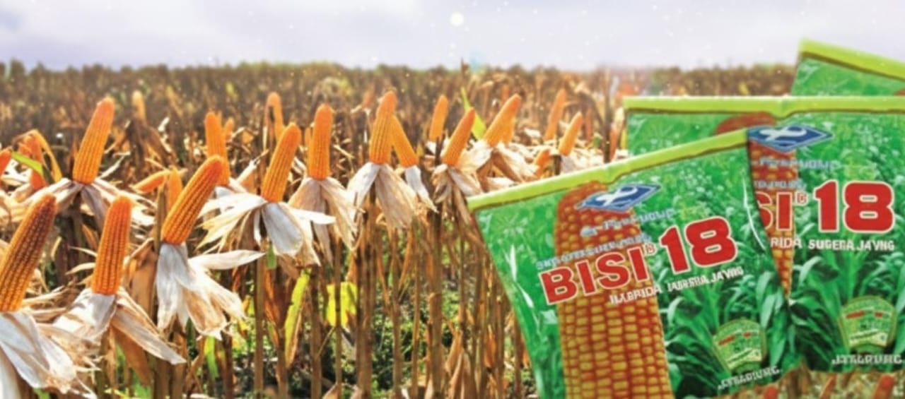 Aksi Senyap Divestasi UBS, 87 Juta Lembar Saham BISI Dilepas Misterius