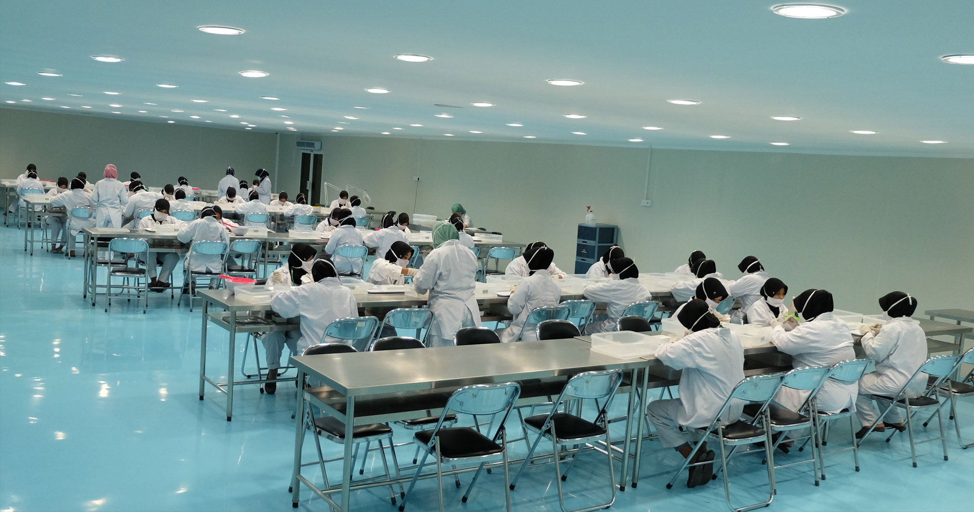 Menakar Realitas Fundamental RLCO: Euforia Pasar dan Jebakan Valuasi