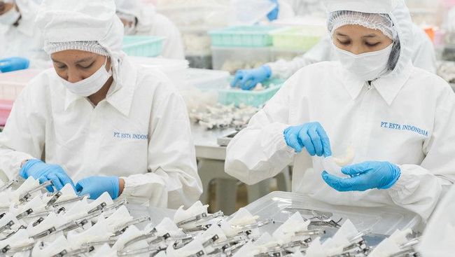 Dilema Valuasi NEST: Menguji Resiliensi Model Bisnis Tanpa Utang