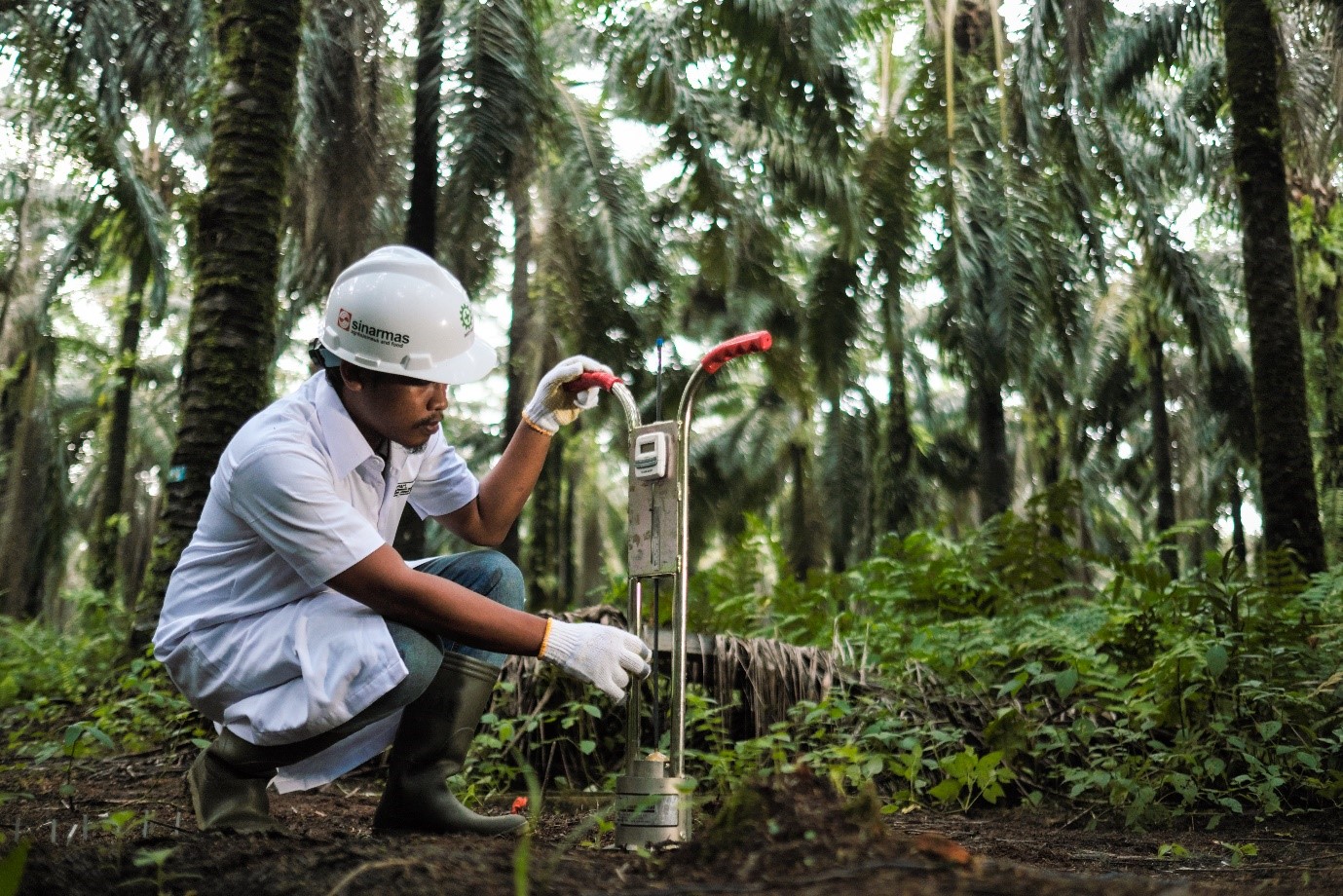 SMAR Siapkan Rp220 Miliar Lunasi Obligasi Jatuh Tempo