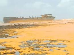 Tumpahan Minyak di Sumenep, Biota Laut dan Ikan Mati Picu Bau Busuk