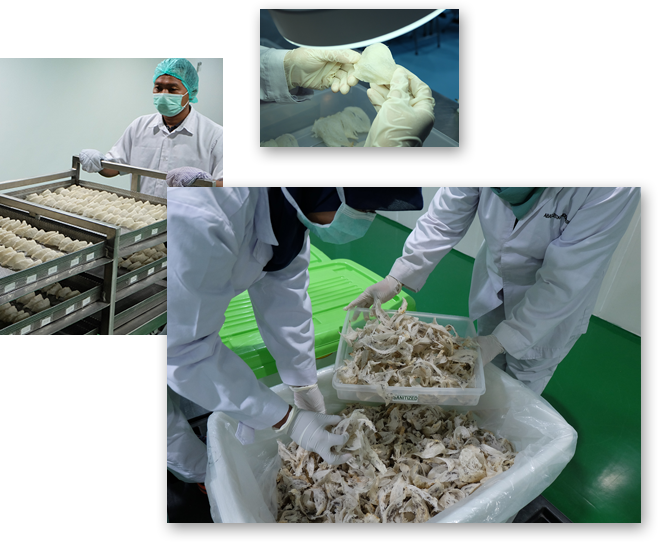 Alasan Analis Samuel Pasang Target Harga Saham RLCO Tembus Rp80.000