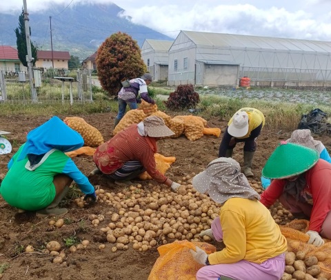 Mentan Minta Daerah Dorong Hilirisasi Komoditas Lokal