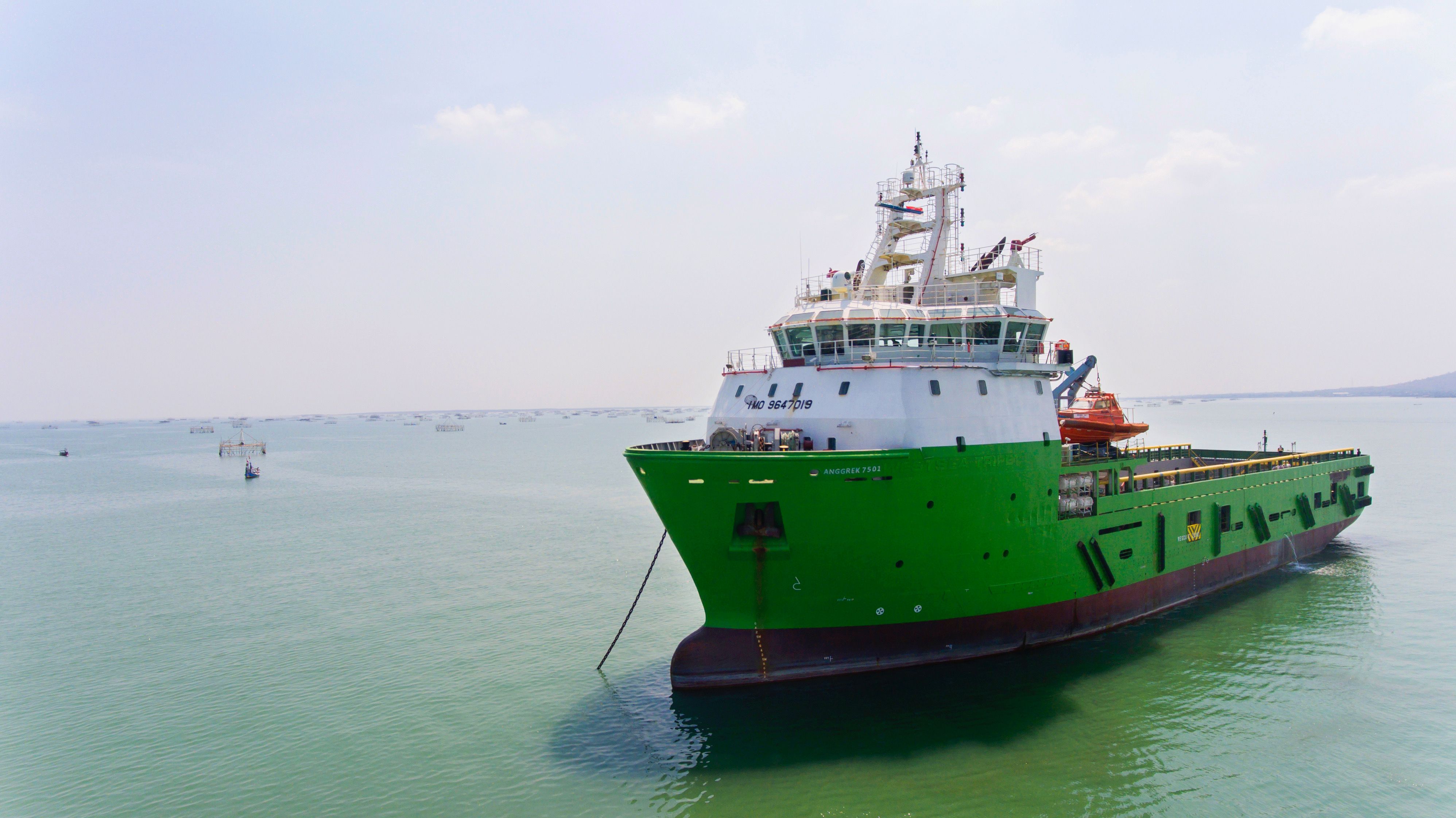 Respons UMA dan Suspen, ELPI Tegaskan Kepatuhan dan Ungkap Kabar Ini