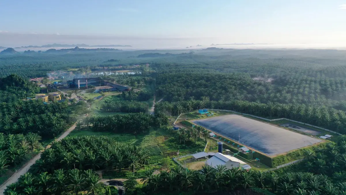 Jelang Jatuh Tempo Obligasi, BWPT Kunci Pembayaran Rp23,9 Miliar