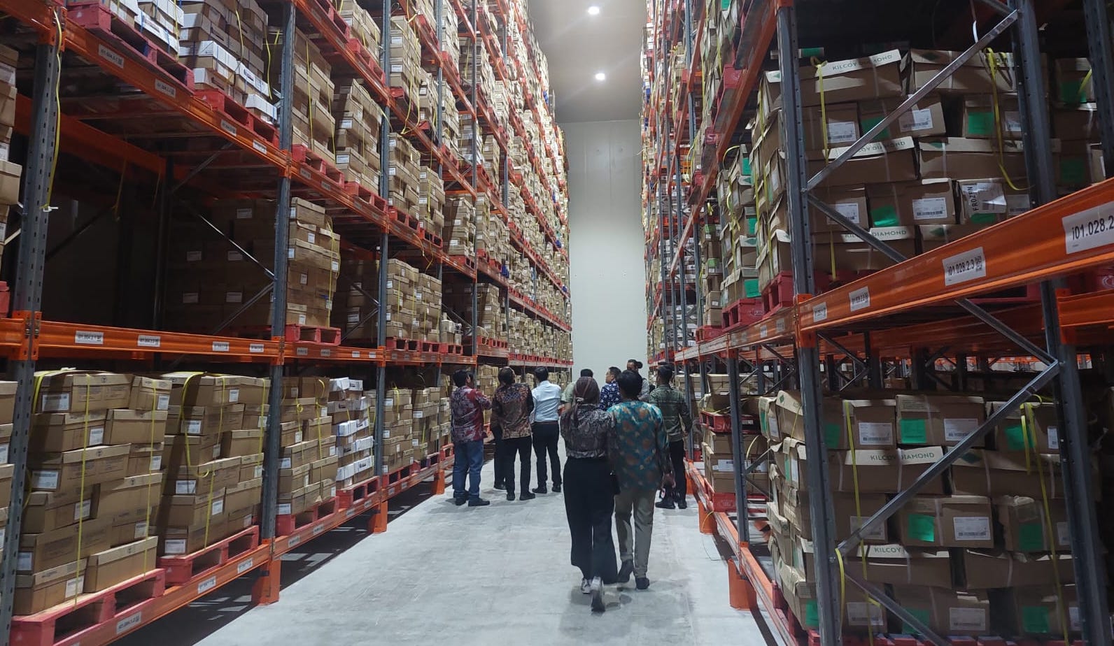 Maksimalkan MBG, BEEF Datangkan 250 Ekor Sapi Perah 