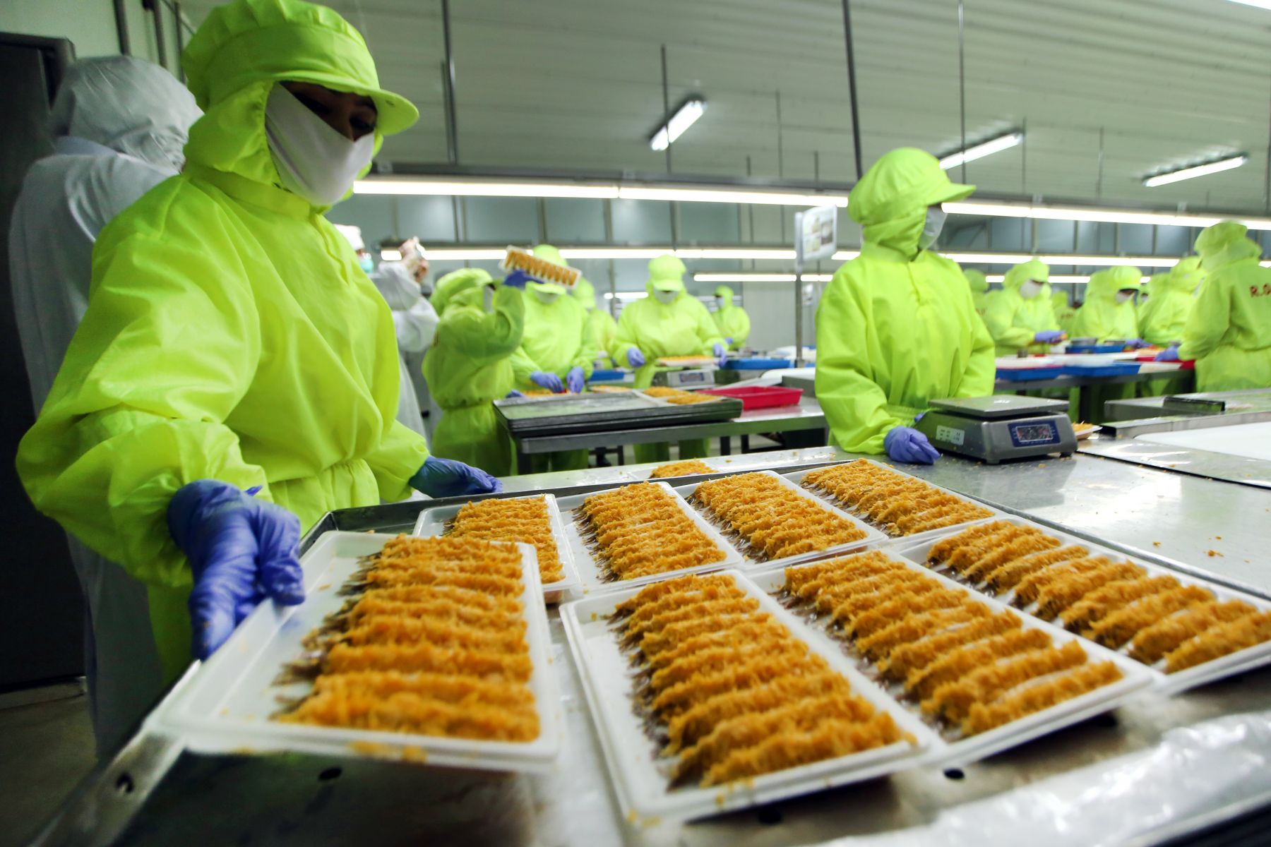 Emiten Milik Kaesang (PMMP) Umumkan Pengunduran Diri Direktur