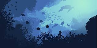 Penguatan Ekonomi Biru Indonesia, Agenda Strategis Nasional