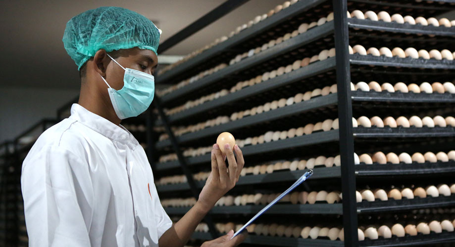 JPFA Raup Laba Rp4 Triliun Pada 2025, Melonjak 32,89 Persen!