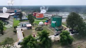 Produktivitas Meningkat, Realisasi RoA PTPN IV PalmCo Capai 7,9 Persen