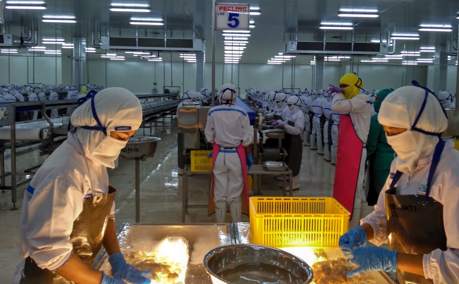 Pangkas Muatan, Pengendali Ini Divestasi Jutaan Saham DPUM 