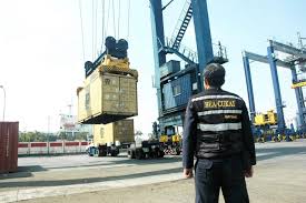 Ada Perbaikan Kinerja, Menkeu Ungkap Tak Jadi Bubarkan DJP dan DJBC